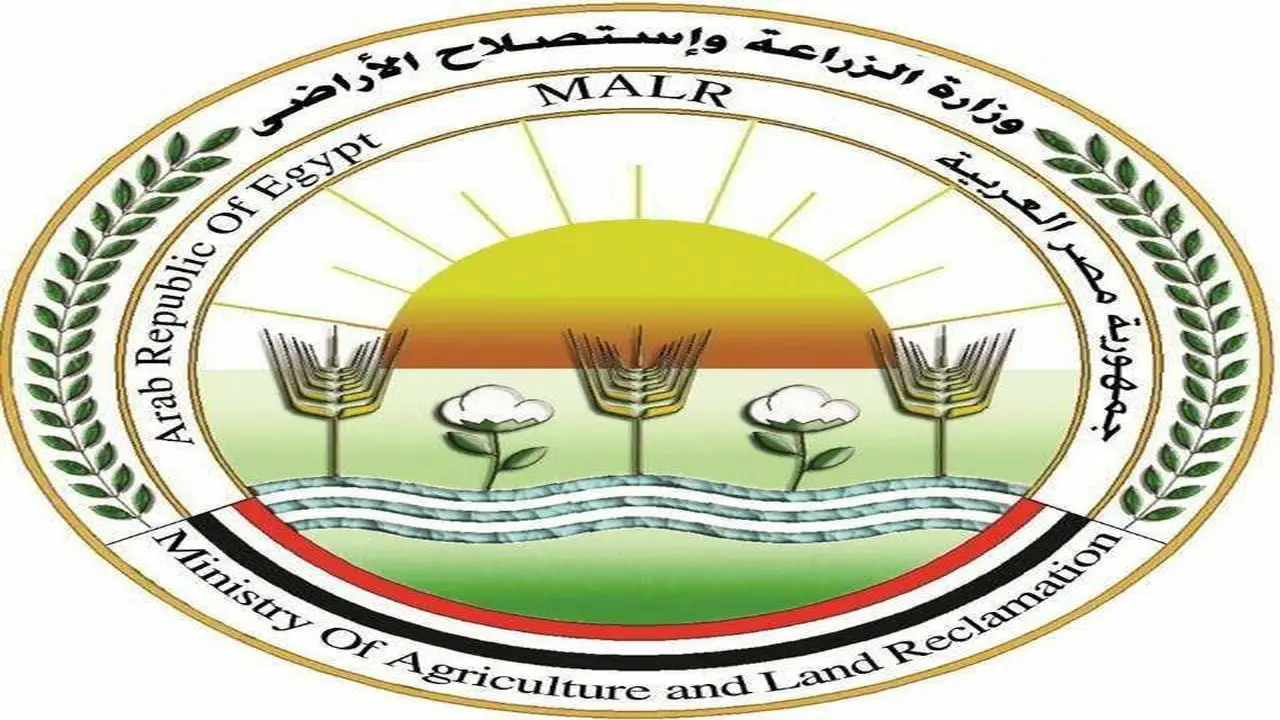 مصر تشدد استعداداتها في القطاع الزراعي لمناسبة عيد الأضحى
